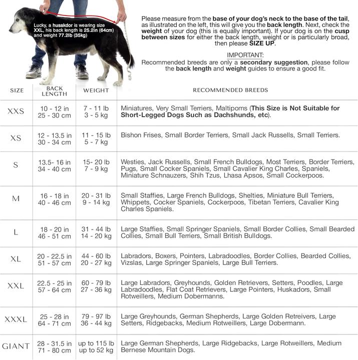 Immagine prodotto Lucky Paws Schnelltrocknender Hundebademantel (XS, Accappatoio per cani)