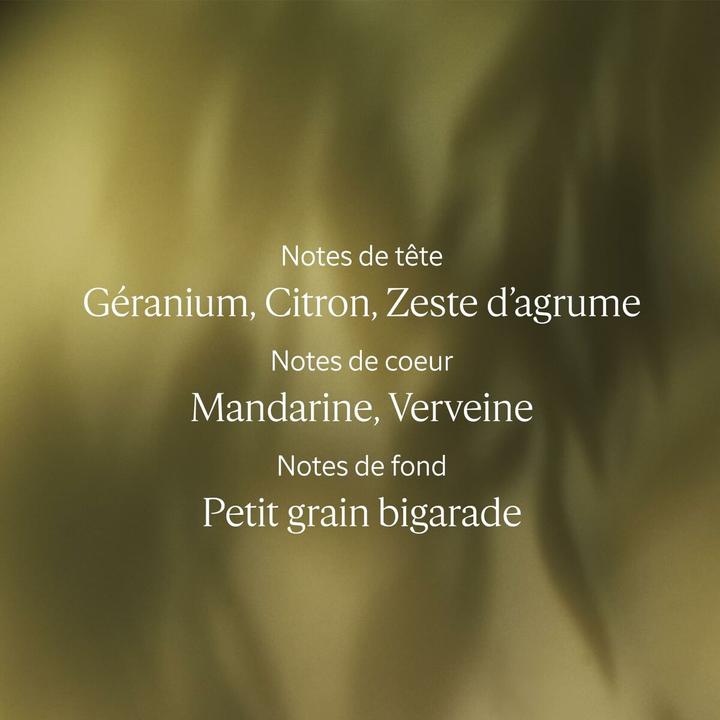 Immagine prodotto L'Occitane Verveine (Eau de toilette, 100 ml)
