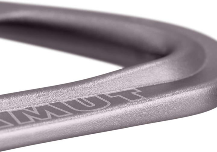 Actual product image Mammut Workhorse Keylock 12 cm 6-Pack Quickdraws