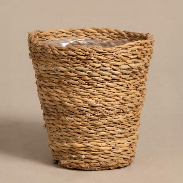 feey Kesat (16 cm)