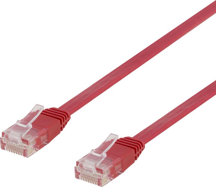 Rot