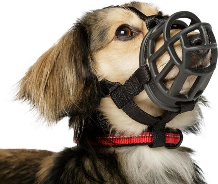 Immagine prodotto Baskerville Museruola per cani Ultra (4, Cane)