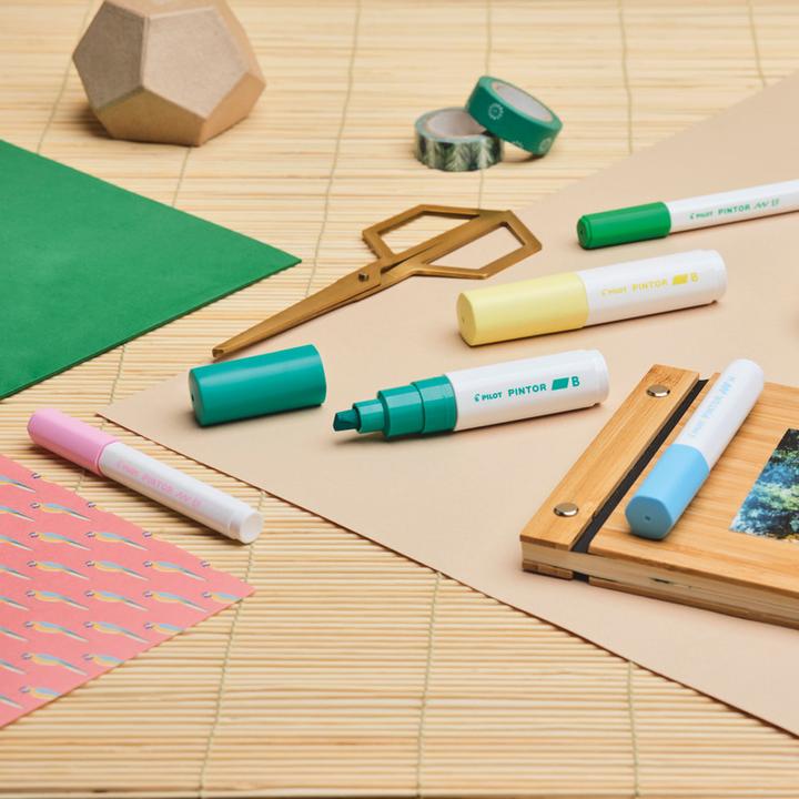 Actual product image Pilot Pintor Extra Fine pastel