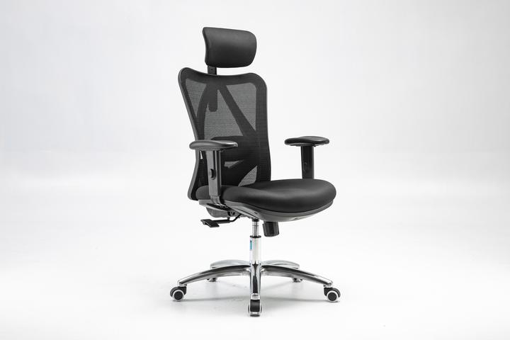Actual product image Sihoo M18 Ergonomic