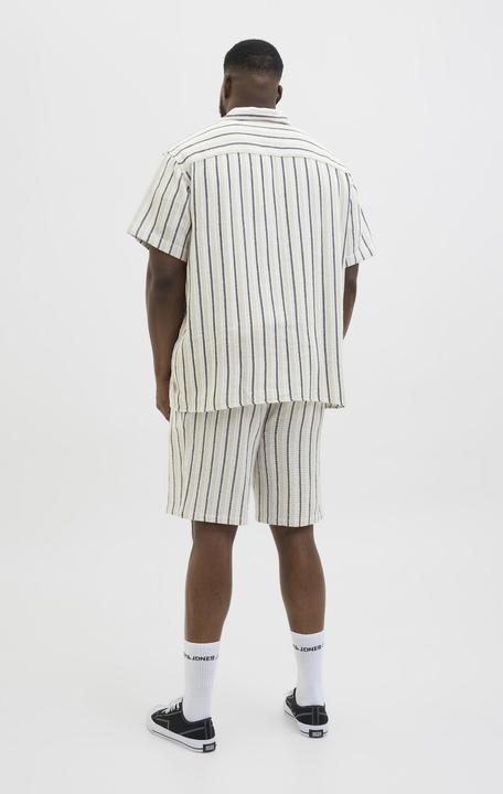 Produktbild Jack & Jones Jorcoba Stripe Resort Shirt Ss Sn Pls (4XL)