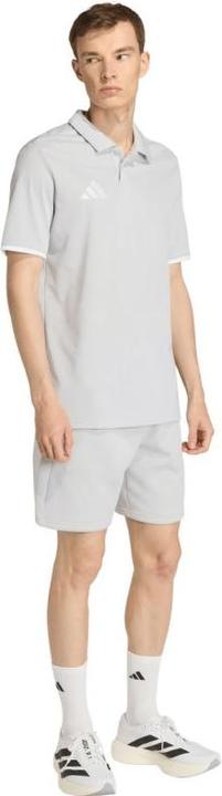 Actual product image Adidas graues Herren-Poloshirt von Entrada (S)