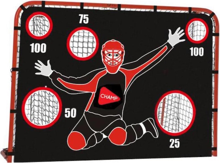 But de floorball avec mur de but
