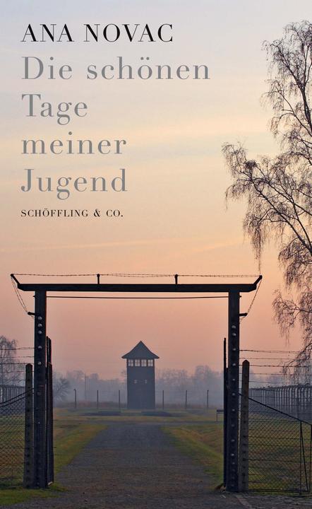 Produktbild Die schönen Tage meiner Jugend (Deutsch, Ana Novac, 2009)
