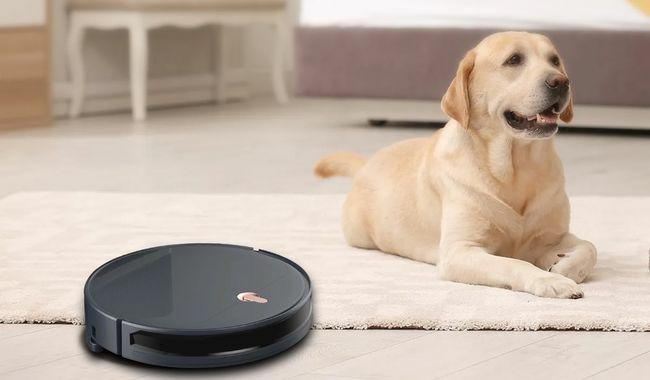 Productafbeelding Eziclean I-Bot Z5 (Veeg)