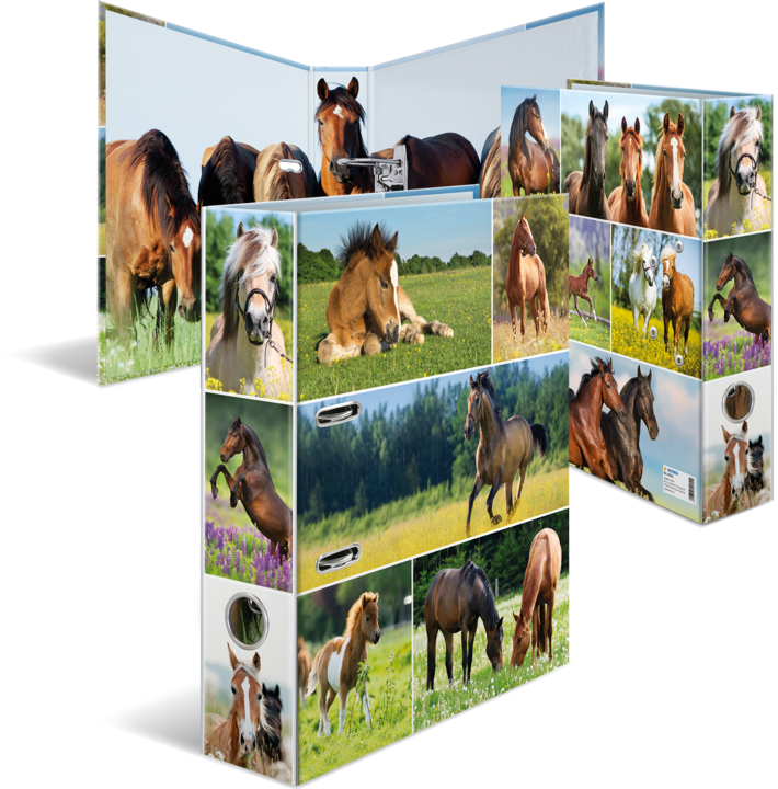 Actual product image Herma A4 folder motif (A4, 70 mm, 1 x)