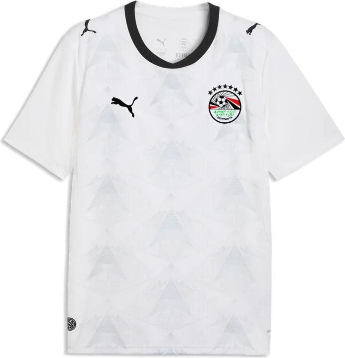 Image du produit Puma EFA Away Jersey Replica (XL)