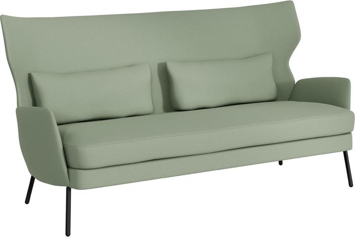 Caleido 9881 grigio verde, Cat. 2