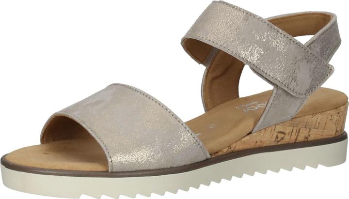 Coquillage (liège/crème)