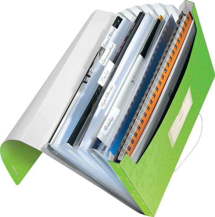 Actual product image Leitz Project folder WOW A4 PP Green (A4, 1x)
