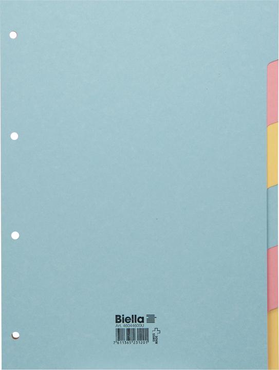 Immagine prodotto Biella Registra la dimensione completa colorata