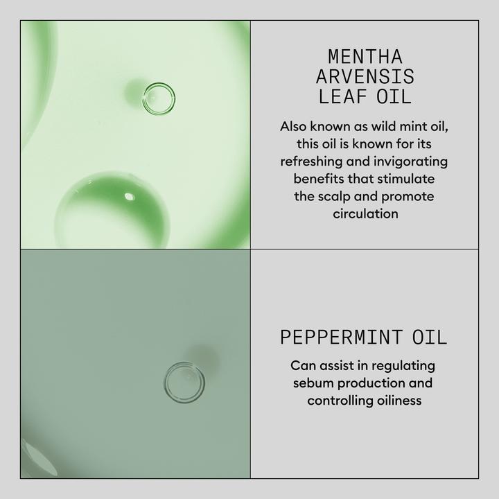 Actual product image Nioxin Density Defend Volumizing Dry Shampoo with Peppermint Oil 180ml (Dry shampoo, 180 ml)