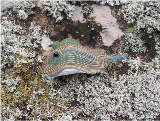 Actual product image Eugy 3D craft set stingray (MQ6)