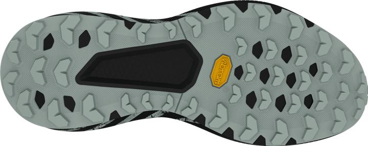 Actual product image Dynafit Trail Graphic Laufschuh (43)