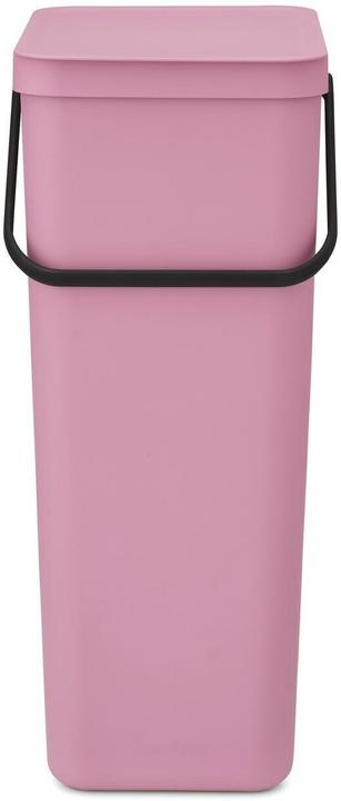 Lilac Pink, Pink, Rose