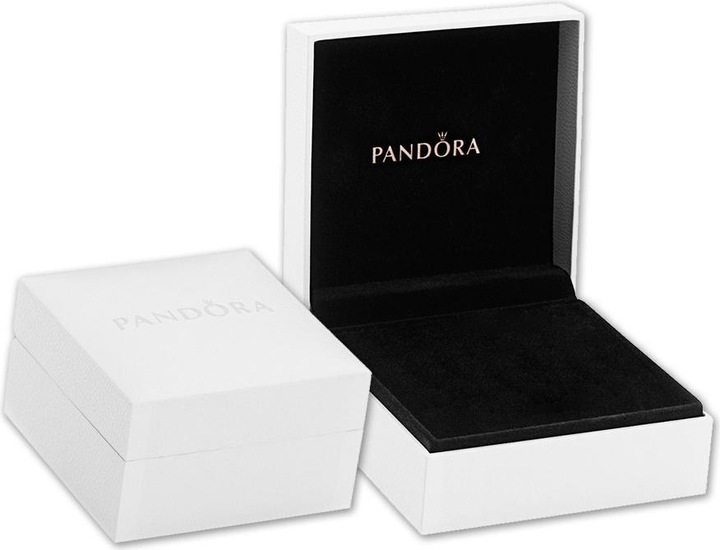 Actual product image Pandora My Loves (Silver 925)