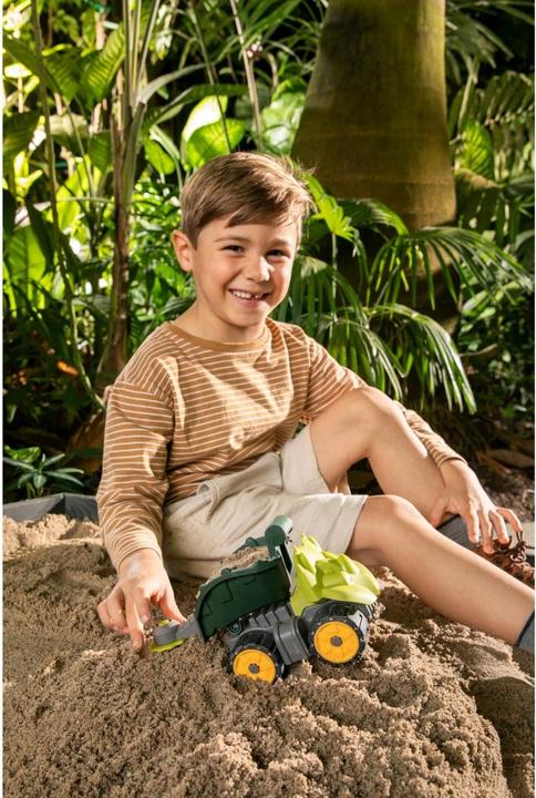 Produktbild BIG -PW Mini Dino Triceratops