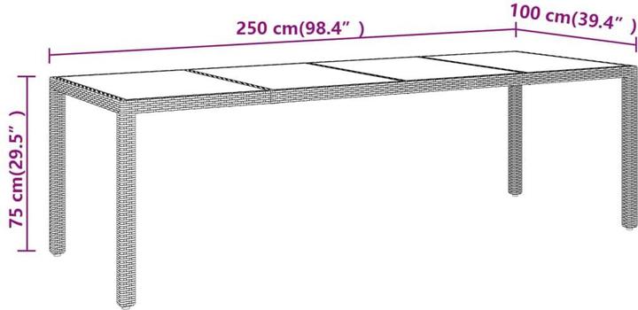 Produktbild vidaXL Gartentisch mit Glasplatte (250 x 100 x 75 cm)