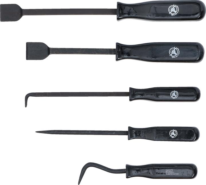 Actual product image BGS Scraper and Hook Set 5 pcs.