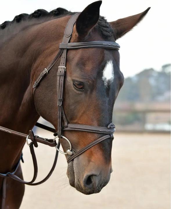 Immagine prodotto Collegiate Comfitec Opulux Fancy Stitch