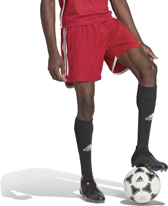 Actual product image adidas Tiro 23 Competition Match training shorts men (XXL)