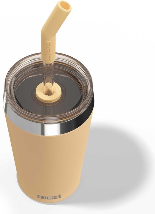 Actual product image Sigg Helia (0.60 l)