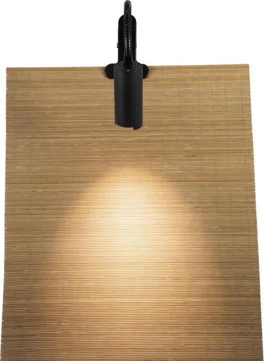 Produktbild Eurolite Klemmleuchte