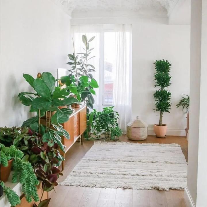 Produktbild Lorena Canals Air (140 cm)