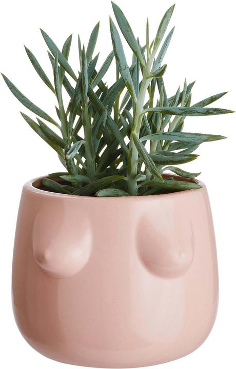 Image du produit home24 Boobies (16 cm)
