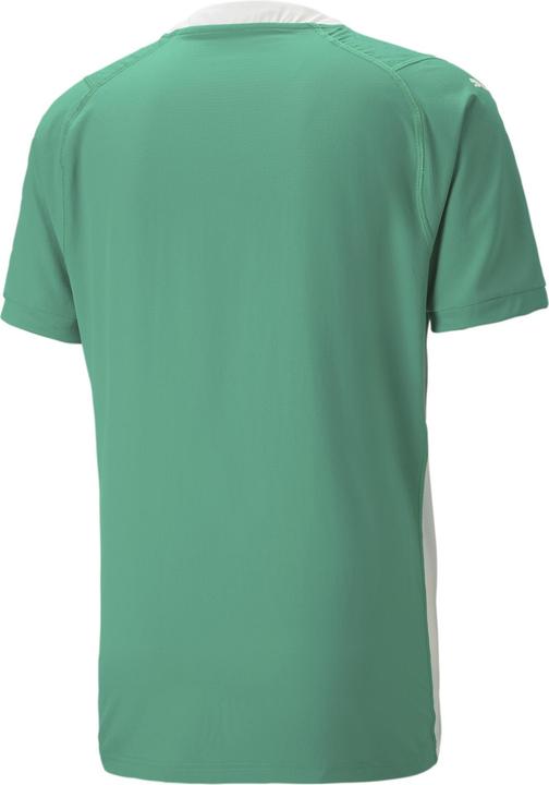 Image du produit Puma teamCUP Jersey (L)