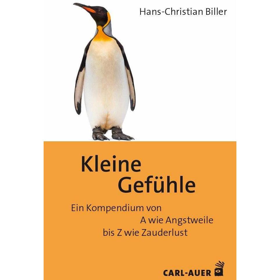 Kleine Gefühle, Fachbücher von Hans-Christian Biller