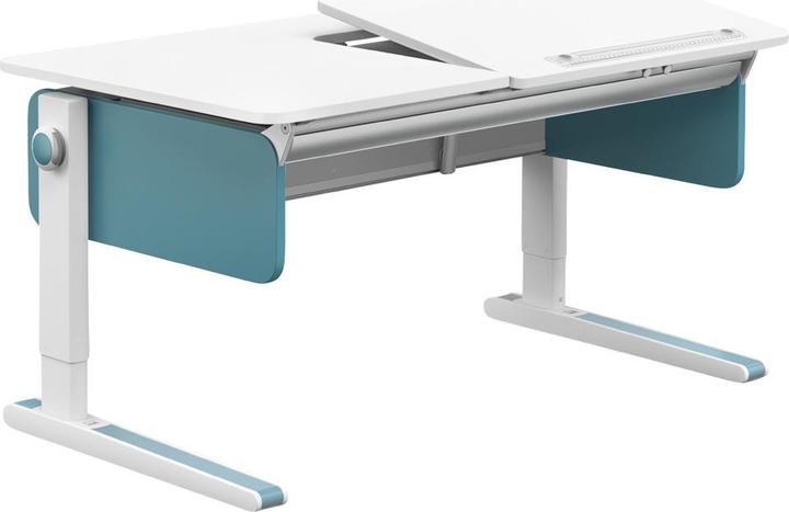 Moll Champion Right Up (120 x 53 cm)