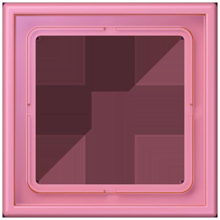 Rose Vif