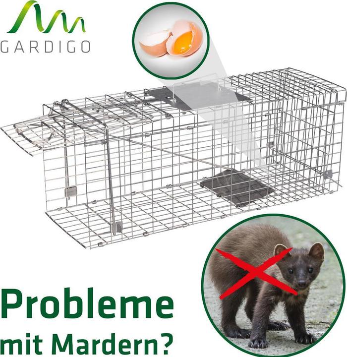 Actual product image Gardigo Marten live trap