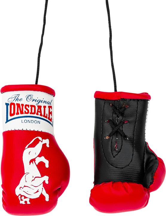 Immagine prodotto Lonsdale Guantoni da boxe in miniatura (Taglia unica)