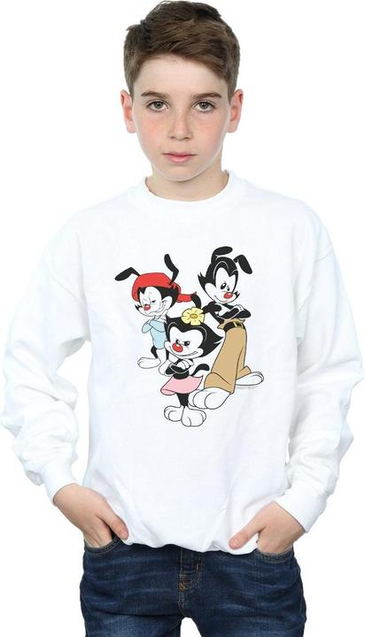 Produktbild Universal Textiles Sweatshirt Jungen Dot Wakko und Yakko (104)