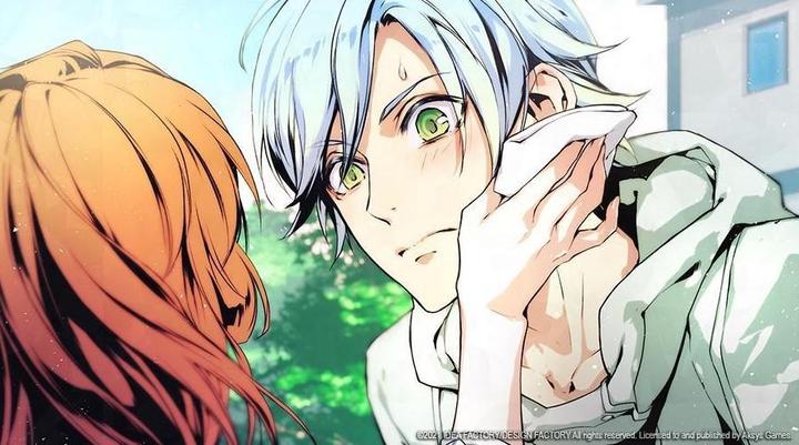 Image du produit Aksys Game Barricade variable (Switch, Switch Lite, Switch OLED, EN)