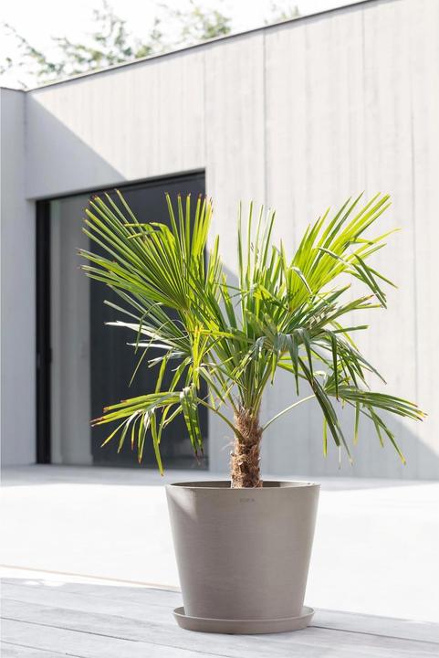Actual product image Ecopots Amsterdam (40 x 35 cm)