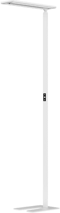 Hansa LARIMAR - Floor lamp (4700 lm)