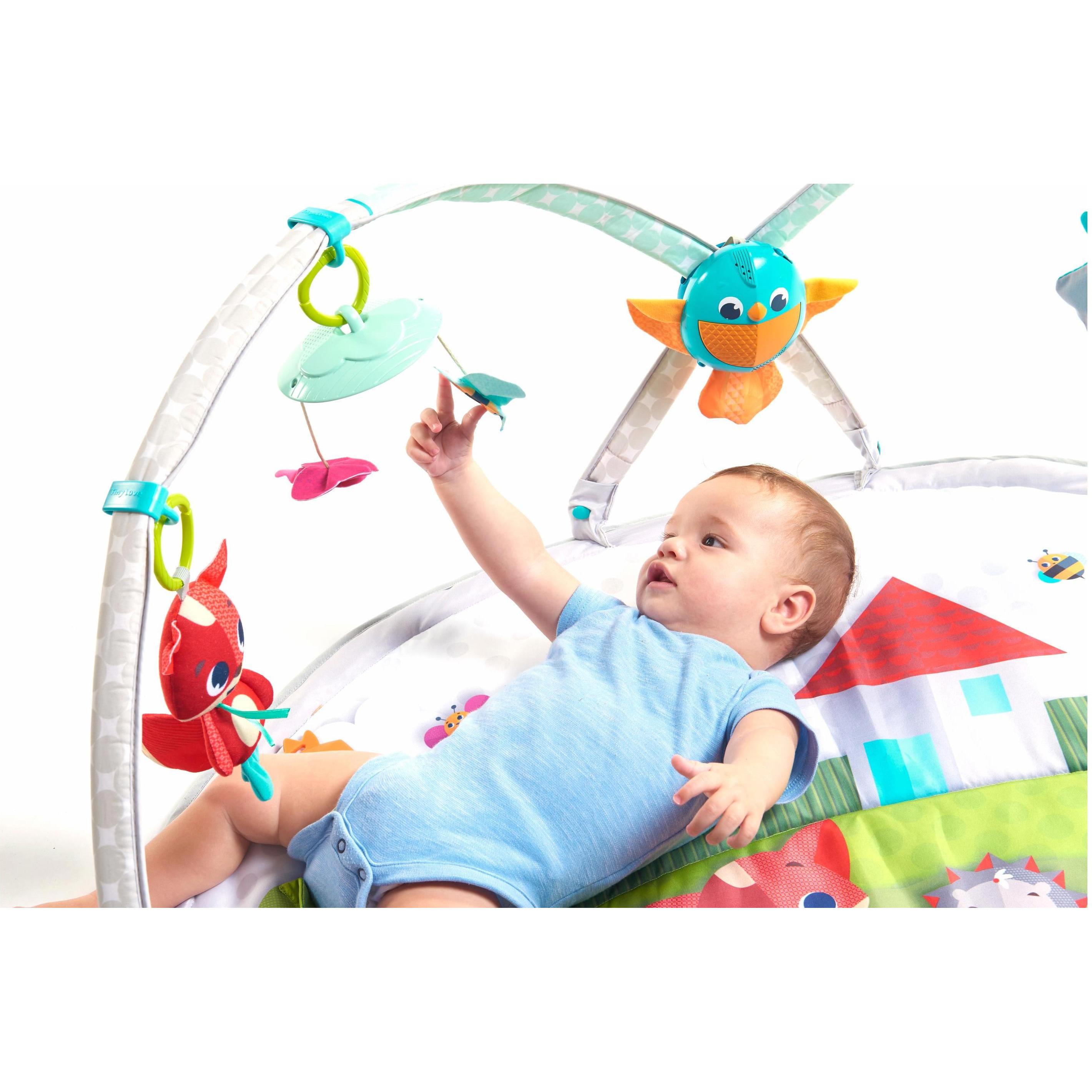 Tiny Love, Palestrina + Copertina gioco, Giorni di Gymini Dinamica su Prato