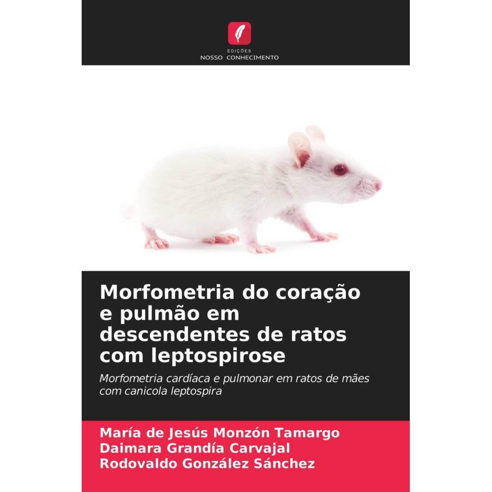 Morfometria do coração e pulmão em descendentes de ratos com leptospirose, Fachbücher von María de Jesús Monzón Tamargo,...