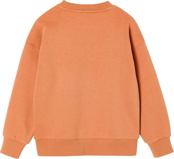 Produktbild Vertbaudet 2er-Pack Sweatshirts Cool & Fun Jungen (152)