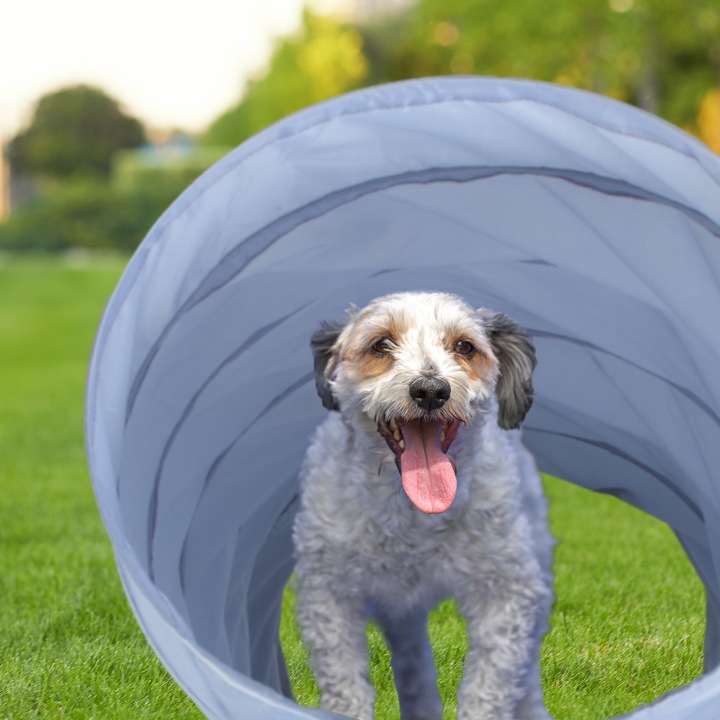 Produktbild Relaxdays Hundetunnel