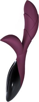 Actual product image Zini Hua