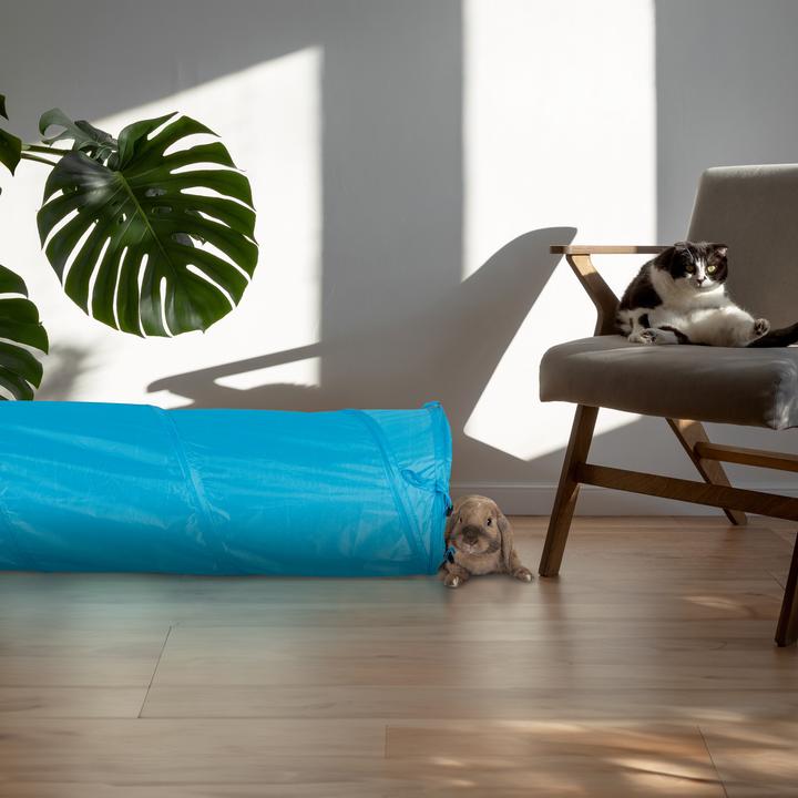 Produktbild Relaxdays Katzentunnel (Katzentunnel)