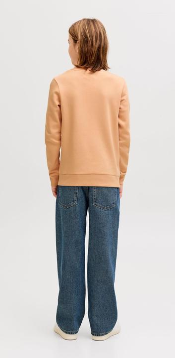 Produktbild Jack & Jones Sweatshirt Junior Sweatshirt (164)